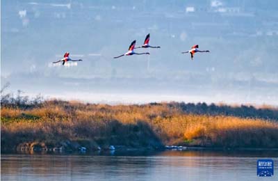  初冬時節(jié)，神州大地開啟“美顏”模式  